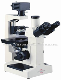 Accu-Scope 3035 Metallurgical microscope